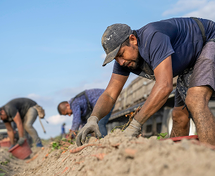 Farming_Blog
